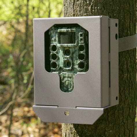 metal secure box for bushnell trail camera on ebay|Security Box For Trail Camera, Wild Game Cameras.